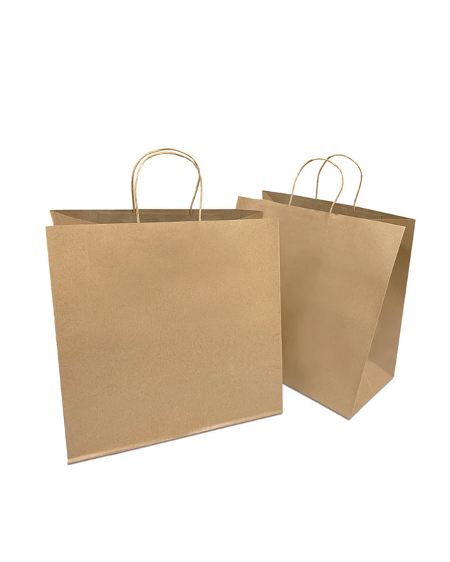 8x5x11 handle bag (250pcs)