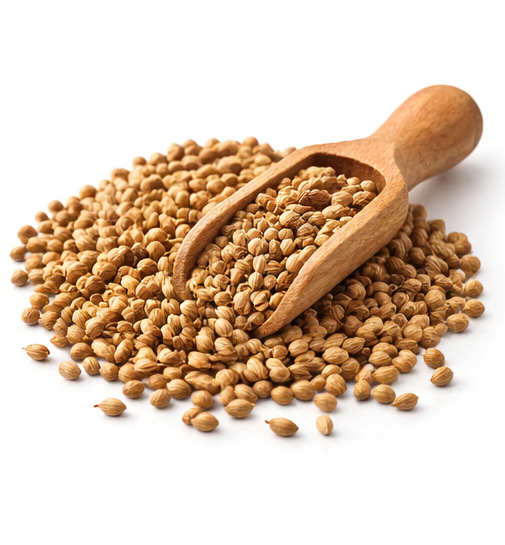 Coriander Seeds 5lbs