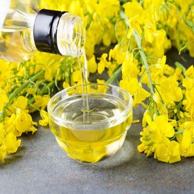 Canola Oil 16L